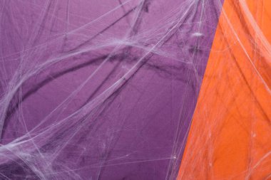 Renk arkaplanında asılı ürkütücü beyaz örümcek ağı