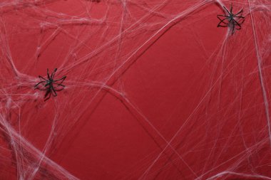 Kırmızı arkaplanda örümcek ağı ve örümcekler, üst görünüm