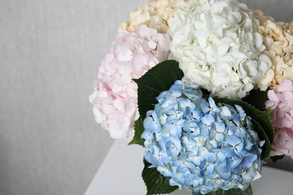 Piękne Kwiaty Hortensji Jasnoszarym Tle Zbliżenie Miejsce Tekst — Zdjęcie stockowe