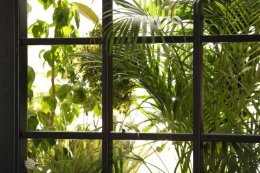 Sabahları bahçenin penceresinden güzel bir manzara.