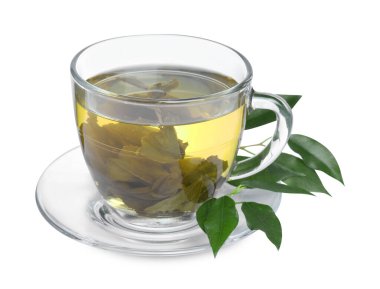 Taze yeşil çay fincanda, yapraklar ve çay tabağı beyazda izole.