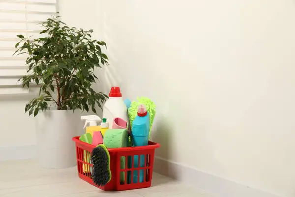 Different cleaning products in plastic basket and green houseplant on floor indoors, space for text