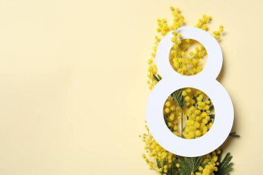 8 Mart tebrik kartı tasarımı, bej arka planda mimoza çiçekleri, üst manzara. Uluslararası Kadınlar Gününüz kutlu olsun.