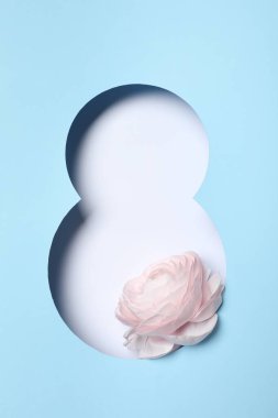 8 Mart 'ta Ranunculus çiçekli tebrik kartı tasarımı, üst manzara. Uluslararası Kadınlar Gününüz kutlu olsun.