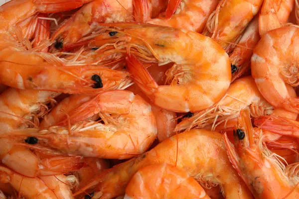 Pile of delicious cooked shrimps as background, closeup