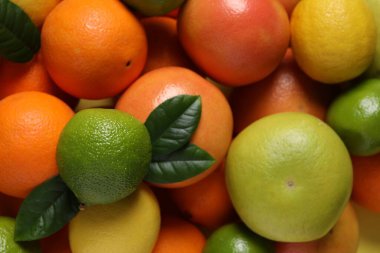 Different fresh citrus fruits and leaves as background, top view