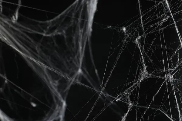 黑色背景的可怕的白色蜘蛛网 — 图库照片