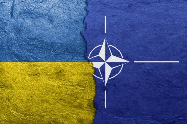 Dokulu yüzeyde Ukrayna ve NATO bayrakları