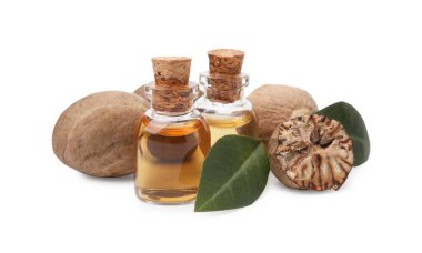 Nutmeg temel yağı, fındık ve yaprakları beyazın üzerinde izole edilmiş.
