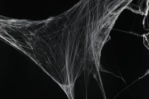 黑色背景上恐怖的白色蜘蛛网 — 图库照片