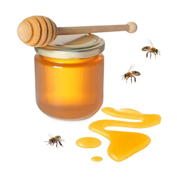 Natürlicher Honig Glas Holzdipper Und Bienen Auf Weißem Hintergrund — Stockfoto