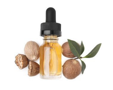 Nutmeg temel petrol, fındık ve yapraklar beyaz, üst görünüm