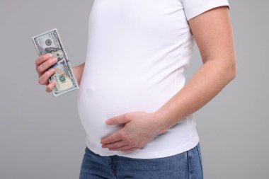 Taşıyıcı anne. Açık gri arka planda dolar banknotları olan hamile kadın, yakın plan.