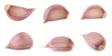 Taze sarımsak karanfilleri beyaza izole edilmiş.