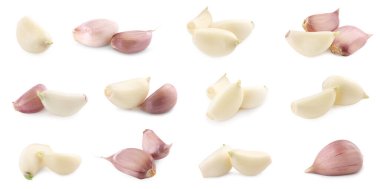 Taze sarımsak karanfilleri beyaza izole edilmiş.