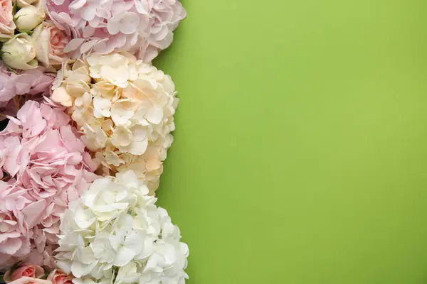 Krásné Hortenzie Květiny Zeleném Pozadí Horní Pohled Mezera Pro Text — Stock fotografie