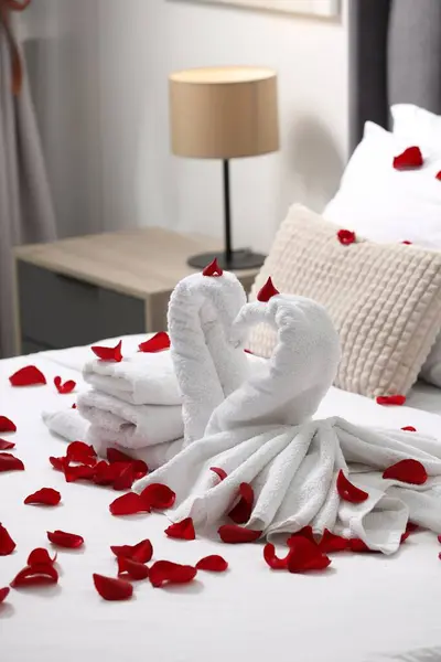 Huwelijksreis Zwanen Gemaakt Met Handdoeken Mooie Rozenblaadjes Bed Kamer — Stockfoto