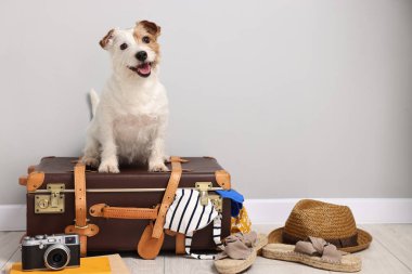 Evcil hayvanla seyahat et. Köpek, giysi ve bavul içeride, mesaj için yer var.