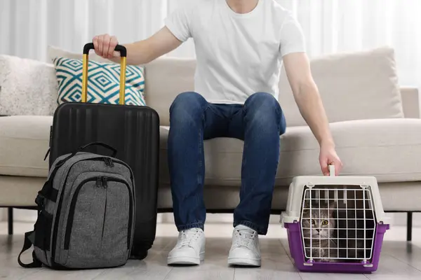 Travel with pet. Man near carrier with cute cat on sofa at home, closeup