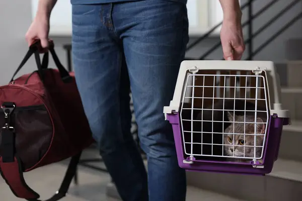 Travel with pet. Man holding carrier with cute cat and bag indoors, closeup