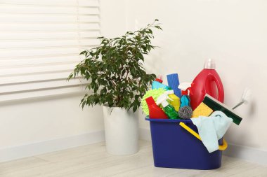 Kovadaki farklı temizlik ürünleri ve evdeki yeşil bitkiler.
