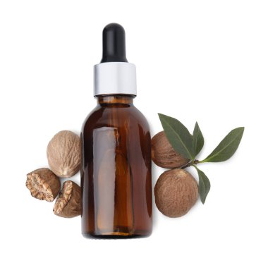 Nutmeg temel petrol, fındık ve yapraklar beyaz, üst görünüm