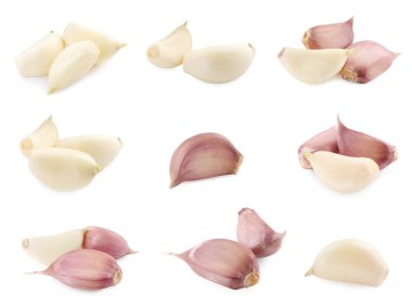 Taze sarımsak karanfilleri beyaza izole edilmiş.