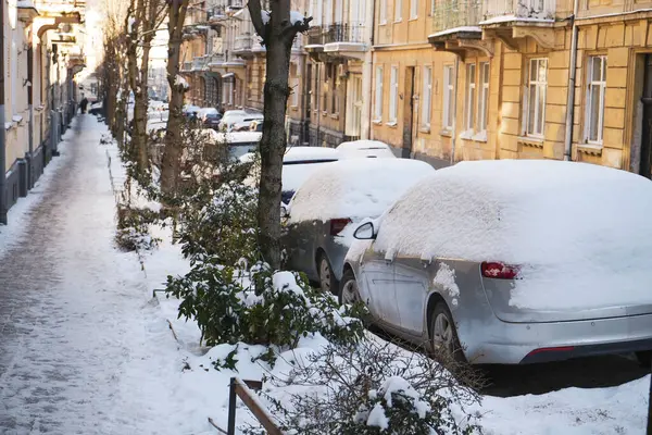 Zimie Zaparkowane Samochody Pokryte Śniegiem Drzewami Ulicy Miejskiej — Zdjęcie stockowe