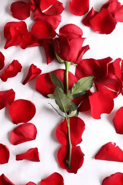 Γαμήλιο Ταξίδι Κόκκινο Τριαντάφυλλο Και Πέταλα Στο Κρεβάτι Πάνω Όψη — Φωτογραφία Αρχείου