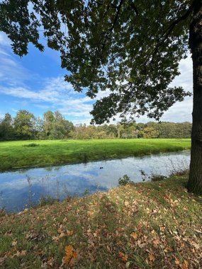 Güzel su kanalı, yeşil çimenler ve ağaçlar parkta