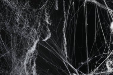 Siyah arkaplanda tüyler ürpertici beyaz örümcek ağı, yakın plan