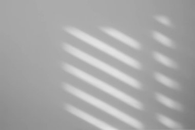 Işık ve gölgeler beyaz duvara düşüyor