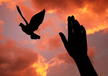 Özgürlük için. Gün batımında elini ve kuşunu bulutlu gökyüzüne doğru gösteren kadın, yakın plan.