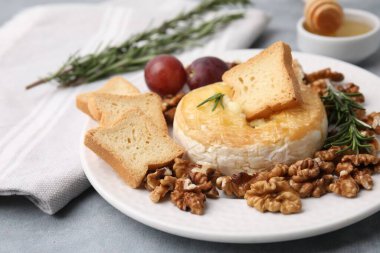 Lezzetli fırında camembert ve gri masada farklı ürünler, yakın plan.