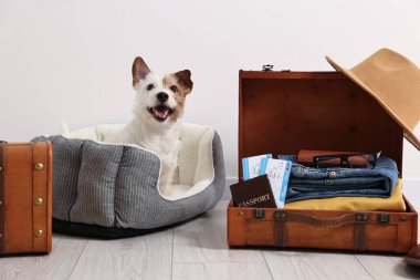 Evcil hayvanla seyahat et. Köpek, giysi, pasaport, bilet ve bavul.