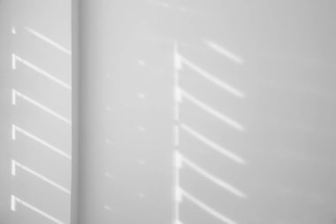 Işık ve gölgeler beyaz duvara düşüyor