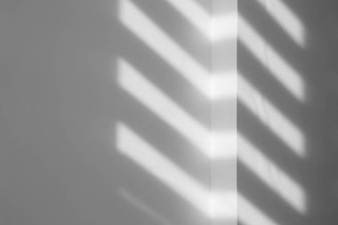 Işık ve gölgeler beyaz duvara düşüyor