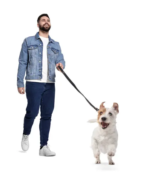 白い背景に犬と一緒に歩いている笑顔の男 低い角度の景色 — ストック写真
