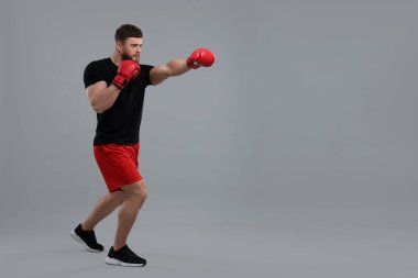 Boks eldivenli adam gri arka planda dövüşüyor. Metin için boşluk