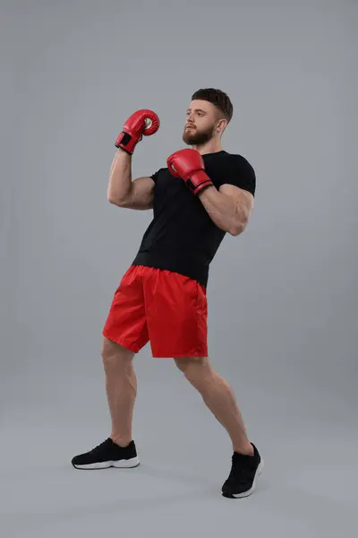 Muž Boxerských Rukavicích Šedém Pozadí — Stock fotografie
