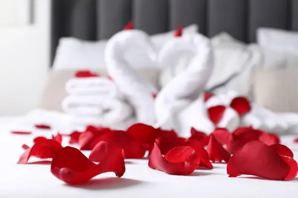 Huwelijksreis Zwanen Gemaakt Met Handdoeken Mooie Rozenblaadjes Bed Selectieve Focus — Stockfoto