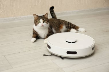 Evde sevimli kedi ve robot elektrikli süpürge var. Sevimli hayvan