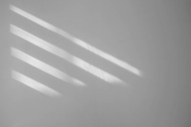 Işık ve gölgeler beyaz duvara düşüyor