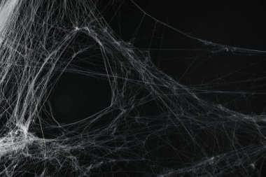 Siyah arkaplanda ürkütücü beyaz örümcek ağı