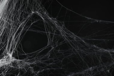 Creepy white spider web on black background clipart