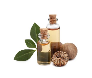 Nutmeg temel yağı, fındık ve yaprakları beyazın üzerinde izole edilmiş.