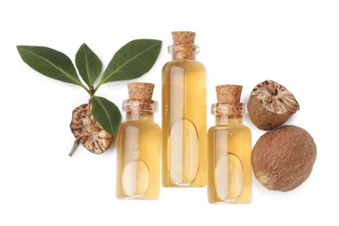 Nutmeg temel petrol, fındık ve yapraklar beyaz, üst görünüm