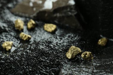 Islak taşlarda bir sürü parlak altın külçeleri var.