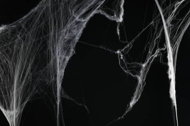 Siyah arkaplanda ürkütücü beyaz örümcek ağı
