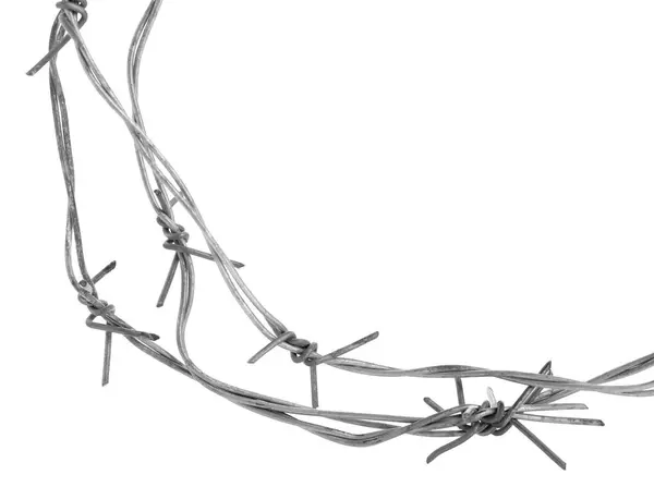 Shiny Metal Barbed Wire Isolated White — Stock Photo, Image